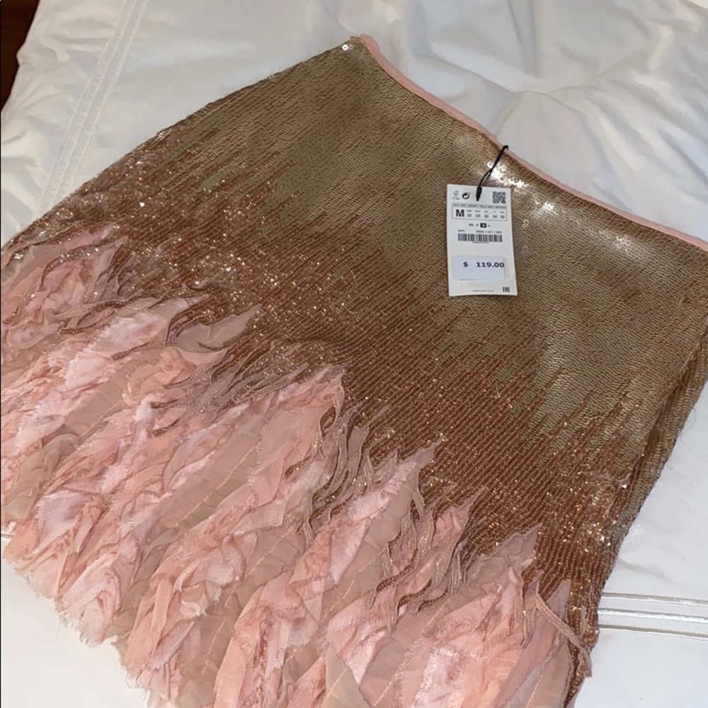NWT Zara sparkly skirt